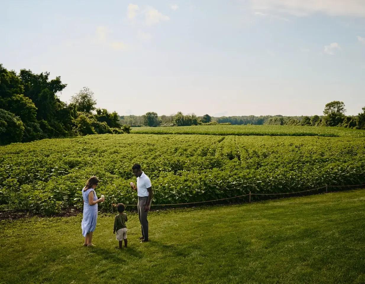 Discover Year-Round Family Fun in Prince Edward County