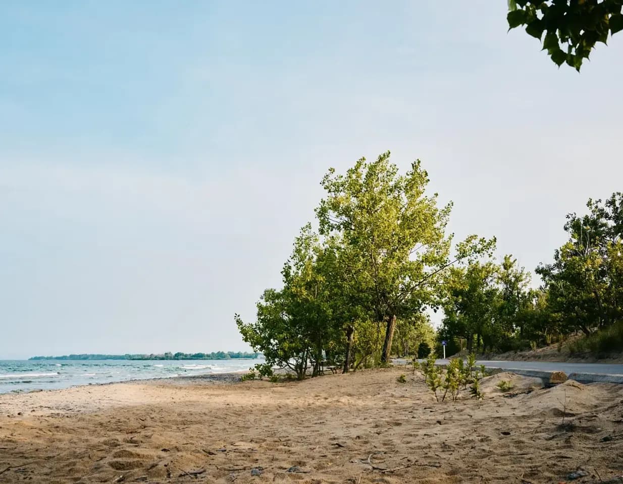 Planning a Beach Day?