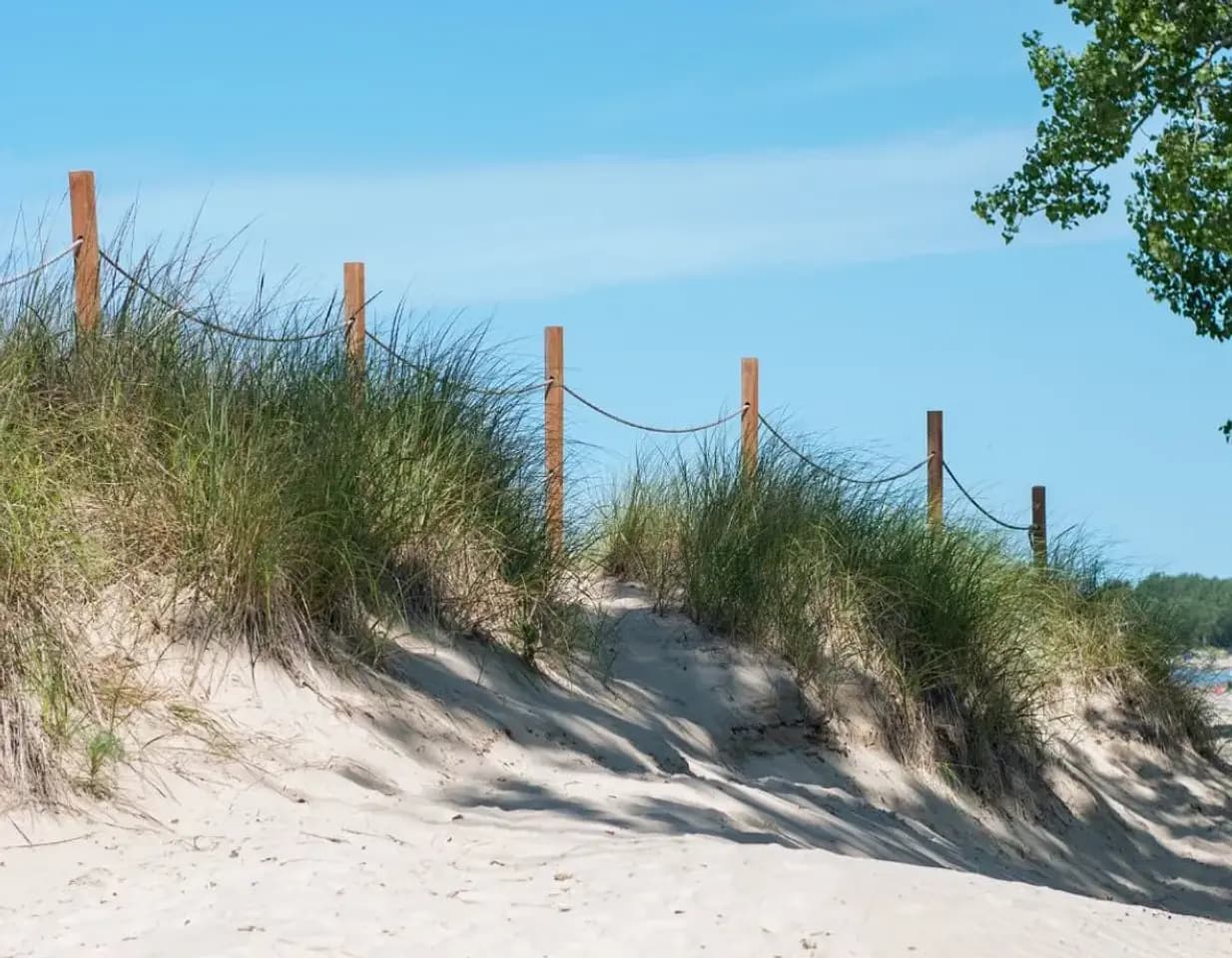 Protecting the Dunes at Sandbanks