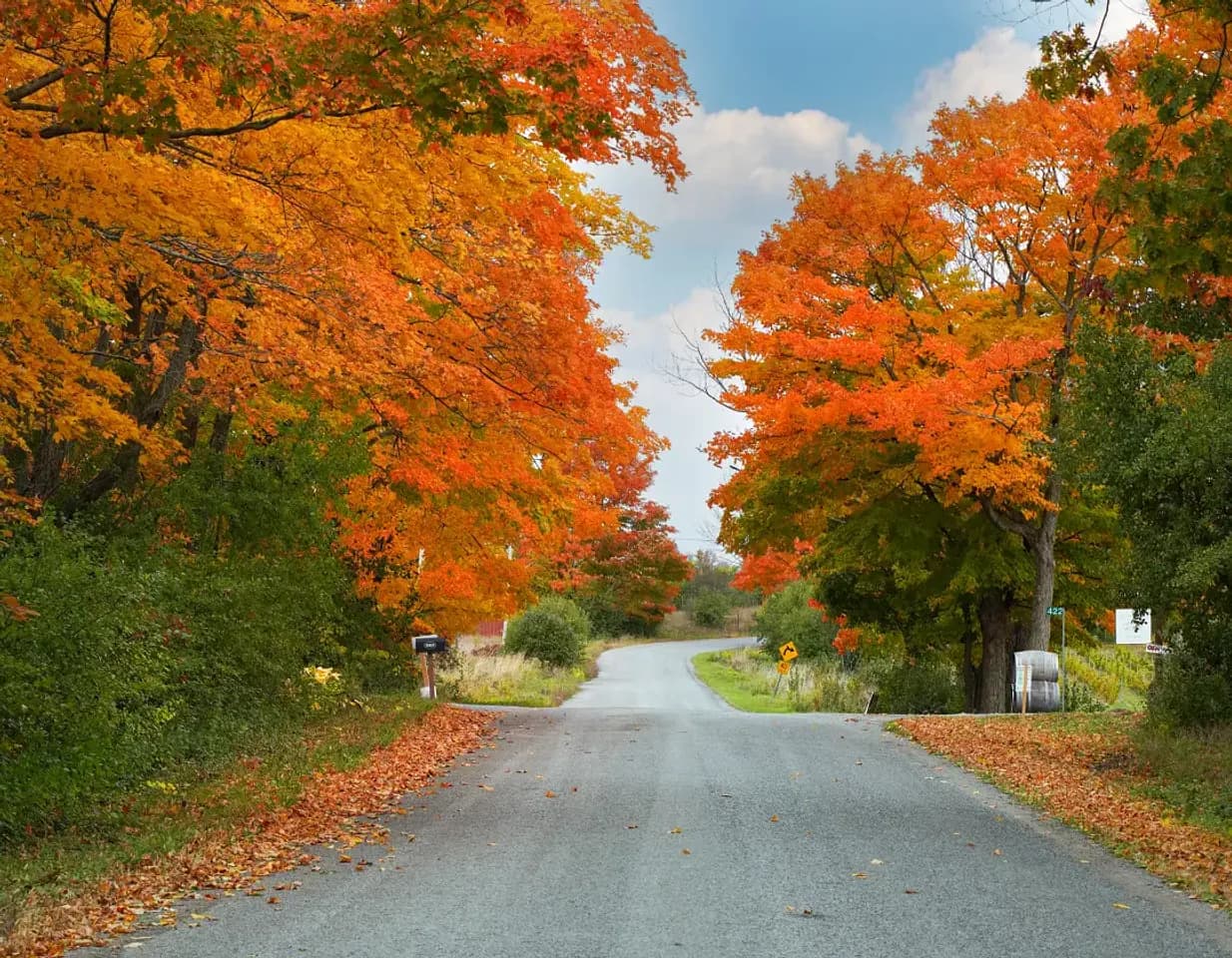 Fall