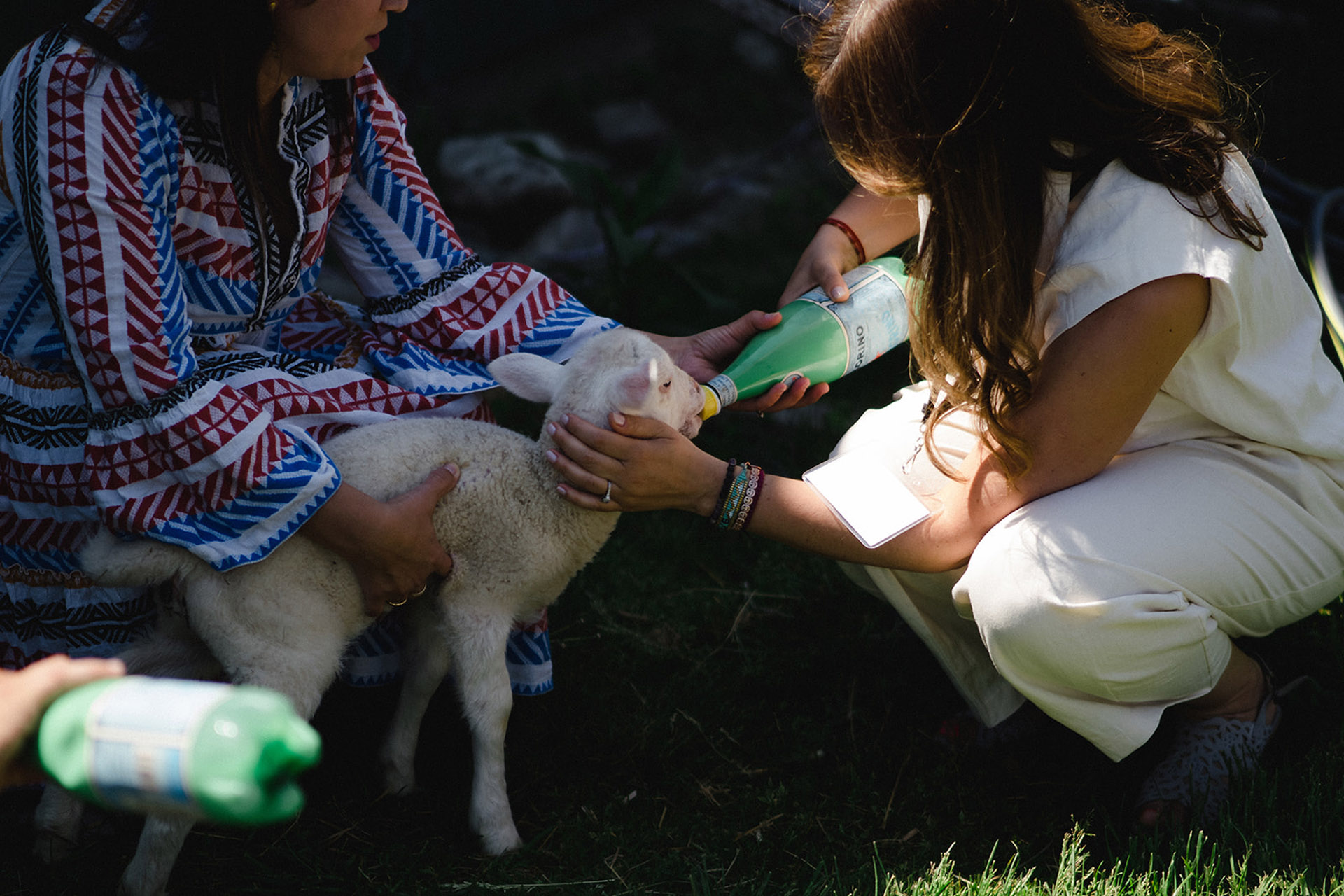 Girl petting a baby goat