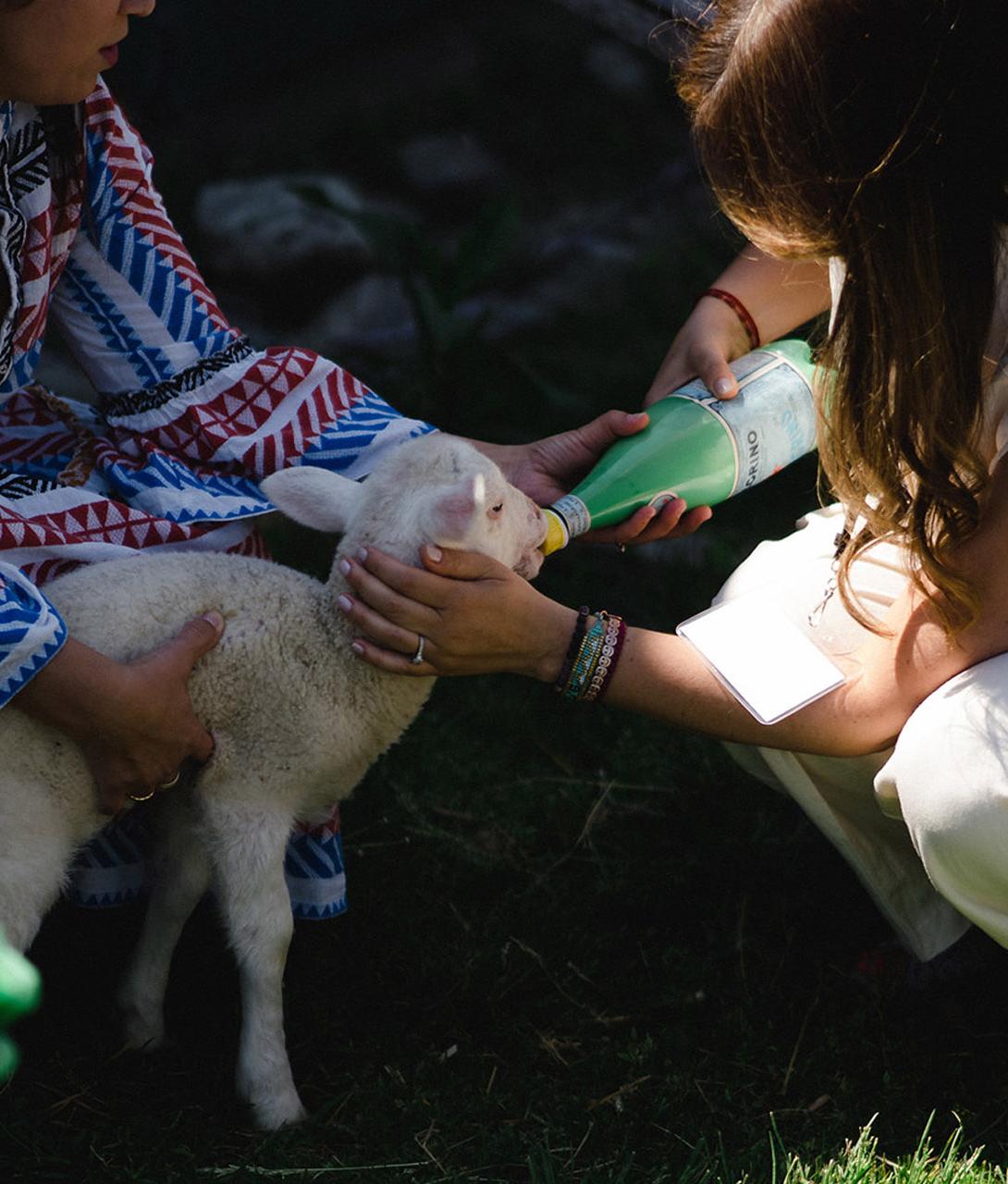 Girl petting a baby goat
